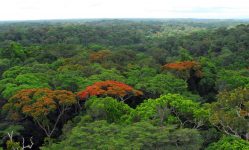 Bia National Park