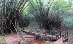 Nini Suhien National Park